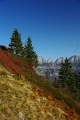 7 Gipfel Wanderung Flumserberg 'Heusee - Gross Gueslen 1833m' (25)